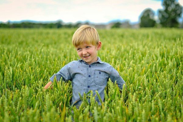 Inwiefern kann die Verwendung von KI in der Verarbeitung von Weltraumdaten die Erforschung des Klimawandels unterstützen?
